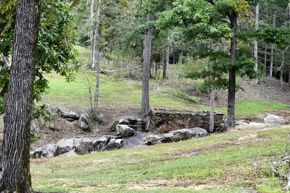 Sportplex Park Trees