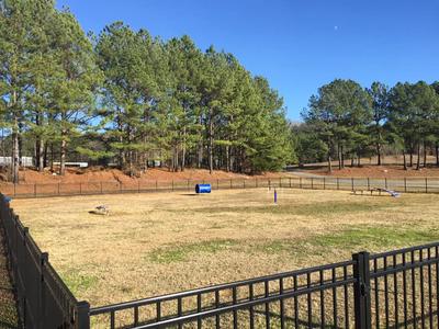 Dog Park Renovation