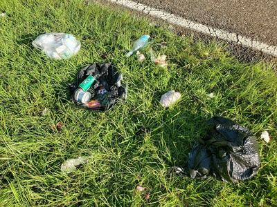 litter2